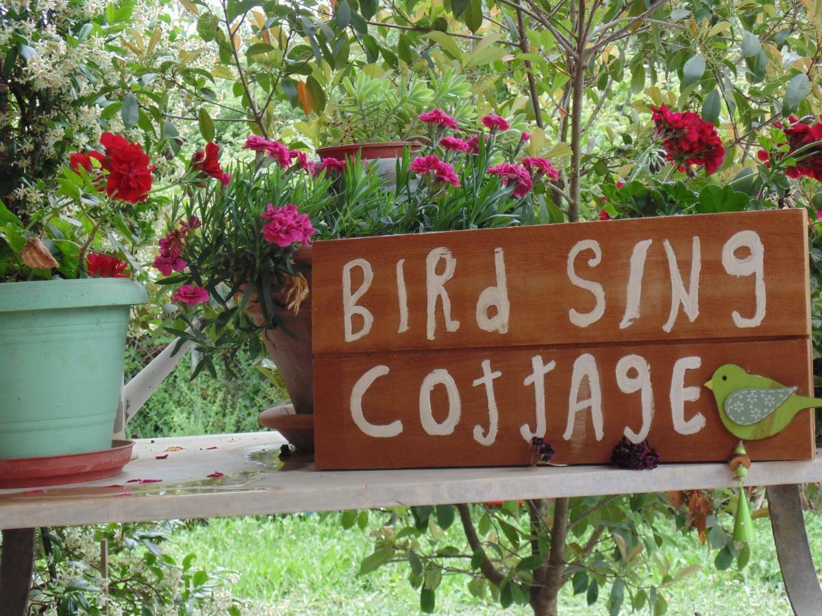 Birdsing Cottage ดัสเซีย ภายนอก รูปภาพ