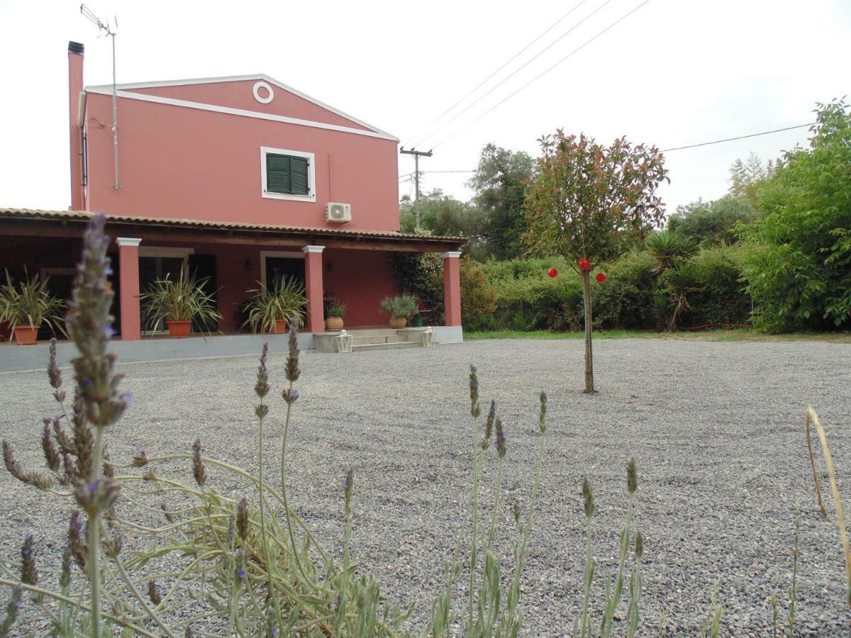 Birdsing Cottage ดัสเซีย ภายนอก รูปภาพ